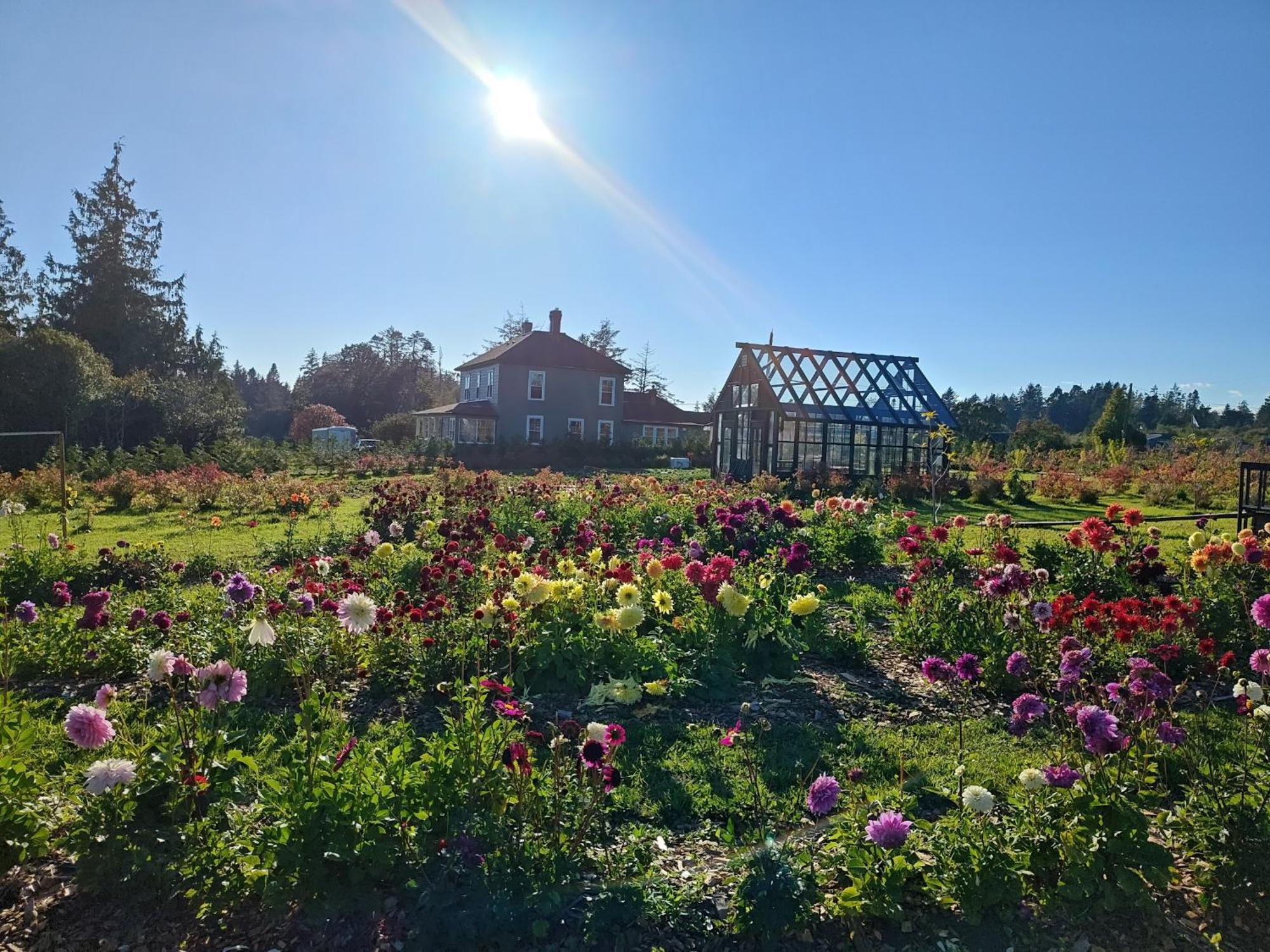 Woodside Farm Country Inn Sooke Exteriér fotografie